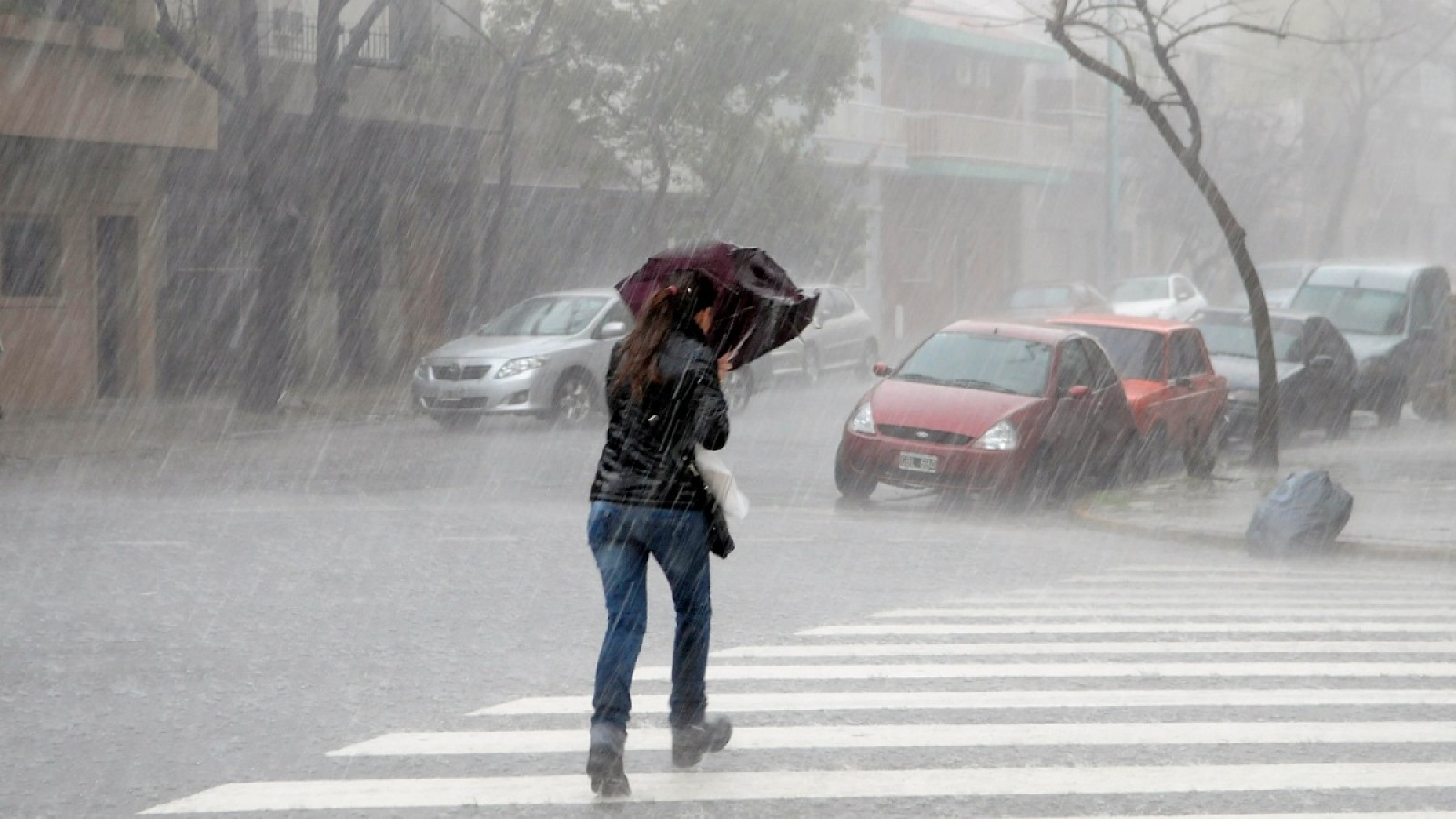 Fuerte tormenta eléctrica y lluvia abundante en el Gran Mendoza y en el Valle de Uco